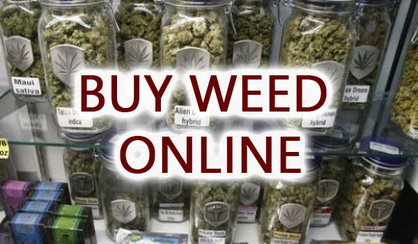 Everyone should know the best site for Buy Weed Online