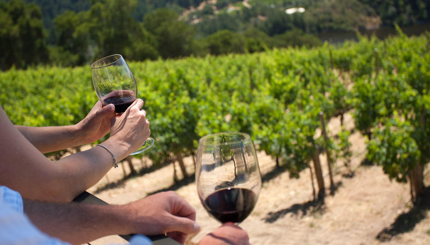 Wine & Food Experience Benefits in Tuscany